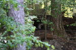 DSC_6927.JPG
